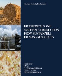 cover of the book Biomass, Biofuels, Biochemicals: Biochemicals and Materials Production from Sustainable Biomass Resources