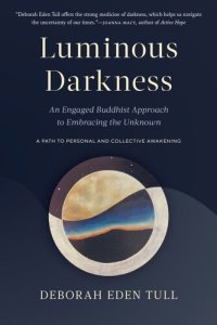 cover of the book Luminous Darkness: An Engaged Buddhist Approach to Embracing the Unknown