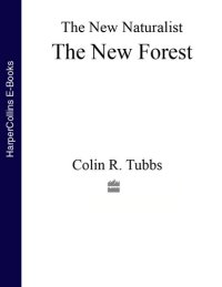 cover of the book The New Forest