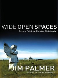 cover of the book Wide Open Spaces: Beyond Paint-by-Number Christianity