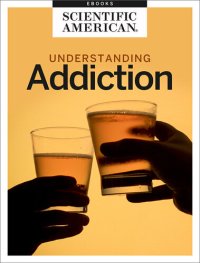 cover of the book From Abuse to Recovery: Understanding Addiction