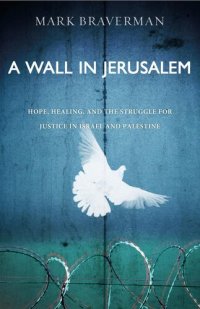 cover of the book A Wall in Jerusalem: Hope, Healing, and the Struggle for Justice in Israel and Palestine