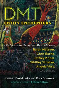 cover of the book DMT Entity Encounters: Dialogues on the Spirit Molecule with Ralph Metzner, Chris Bache, Jeffrey Kripal, Whitley Strieber, Angela Voss, and Others