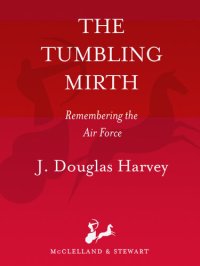 cover of the book Tumbling Mirth