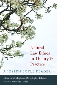 cover of the book Natural Law Ethics in Theory and Practic : A Joseph Boyle Reader