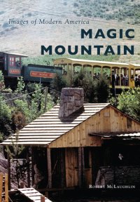 cover of the book Magic Mountain