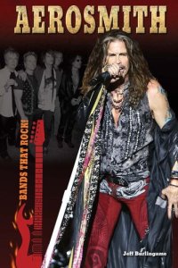 cover of the book Aerosmith