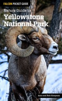 cover of the book Nature Guide to Yellowstone National Park