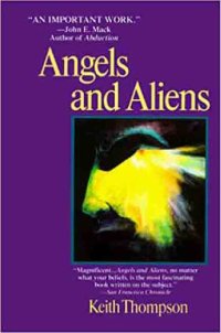 cover of the book Angels and Aliens: UFO's and the Mythic Imagination