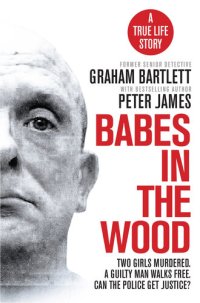 cover of the book Babes in the Wood