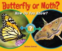 cover of the book Butterfly or Moth?