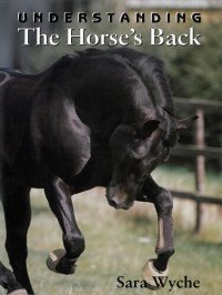 cover of the book Understanding the Horse's Back