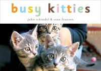 cover of the book Busy Kitties