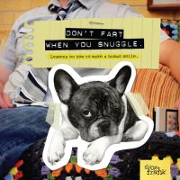 cover of the book Don't Fart When You Snuggle: Lessons on How to Make a Human Smile