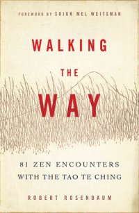 cover of the book Walking the Way: 81 Zen Encounters with the Tao Te Ching