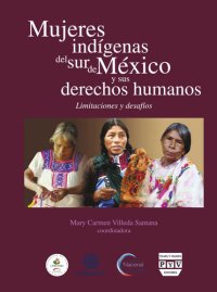 cover of the book Mujeres Indígenas Del Sur De México Y Sus Derechos Humanos: Limitaciones Y Desafíos