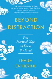 cover of the book Beyond Distraction: Five Practical Ways to Focus Your Mind