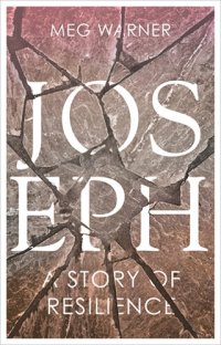 cover of the book Joseph: A Story of Resilience