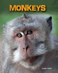 cover of the book Monkeys