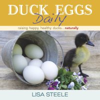 cover of the book Duck Eggs Daily: Raising Happy, Healthy Ducks...Naturally