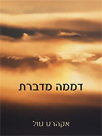 cover of the book דממה מדברת - Stillness Speaks