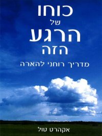 cover of the book כוחו של הרגע הזה מדריך רוחני להארה - The Power of Now