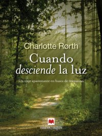 cover of the book Cuando desciende la luz: Un viaje apasionante en busca de respuestas