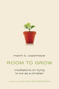 cover of the book Room to Grow: Meditations on Trying to Live as a Christian