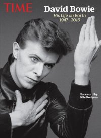 cover of the book David Bowie