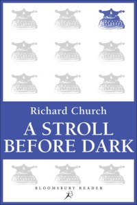 cover of the book A Stroll Before Dark: Essays