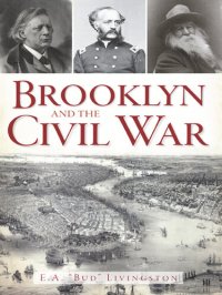 cover of the book Brooklyn and the Civil War