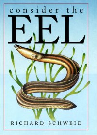 cover of the book Consider the Eel