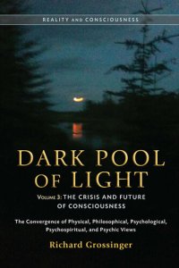 cover of the book Dark Pool of Light, Volume Three: The Crisis and Future of Consciousness