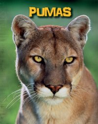 cover of the book Pumas