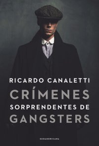 cover of the book Crímenes sorprendentes de gangsters