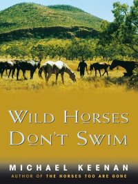 cover of the book Wild Horses Don't Swim