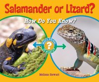 cover of the book Salamander or Lizard?