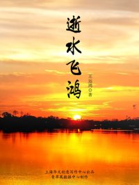 cover of the book 逝水飞鸿