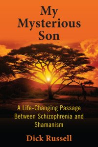 cover of the book My Mysterious Son: A Life-Changing Passage Between Schizophrenia and Shamanism