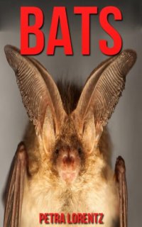 cover of the book Bats