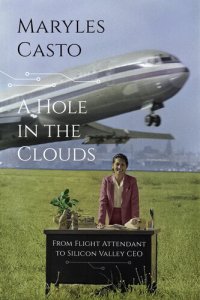 cover of the book A Hole in the Clouds: From Flight Attendant to Silicon Valley CEO