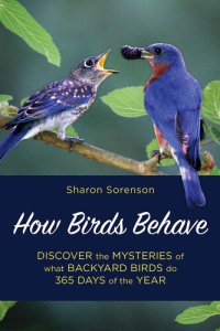 cover of the book How Birds Behave: Discover the Mysteries of What Backyard Birds Do 365 Days of the Year