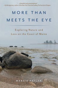 cover of the book More Than Meets the Eye: Exploring Nature and Loss on the Coast of Maine