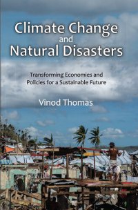 cover of the book Climate Change and Natural Disasters: Transforming Economies and Policies for a Sustainable Future