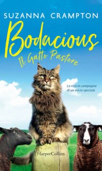 cover of the book Bodacious--Il gatto pastore