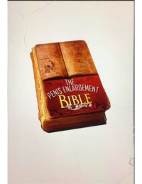 cover of the book The Penis Enlargement Bible