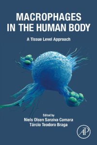 cover of the book Macrophages in the Human Body: A Tissue Level Approach