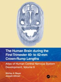 cover of the book The Human Brain during the First Trimester 40- to 42-mm Crown-Rump Lengths: Atlas of Human Central Nervous System Development