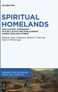 cover of the book Spiritual Homelands: The Cultural Experience of Exile, Place and Displacement among Jews and Others