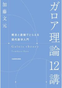 cover of the book ガロア理論12講 概念と直観でとらえる現代数学入門 Galois Theory